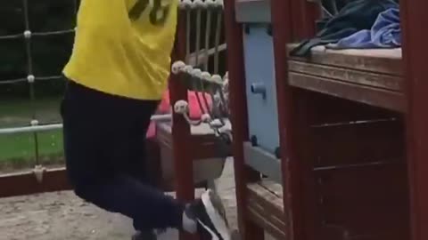 funny videos