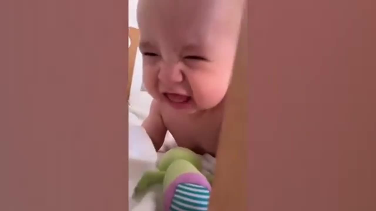 Funny baby videos