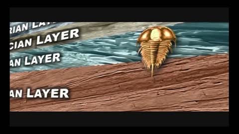 Darwin's Dilemma - Explained