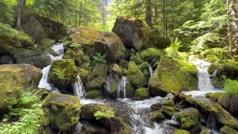 Watson Falls, Oregon