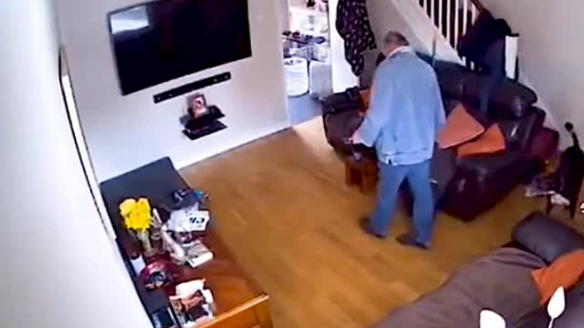 This is really funny, the dog is scared by the broom