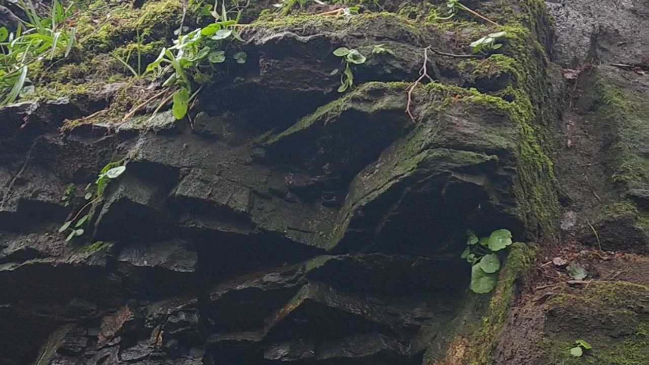 Leskudjak Fort investigation finds some evidence!