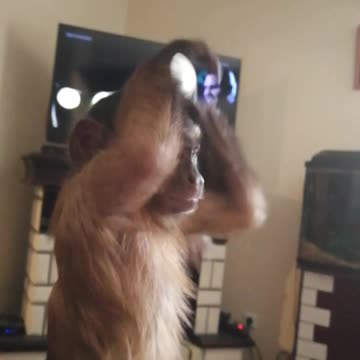 Игры с ложкой