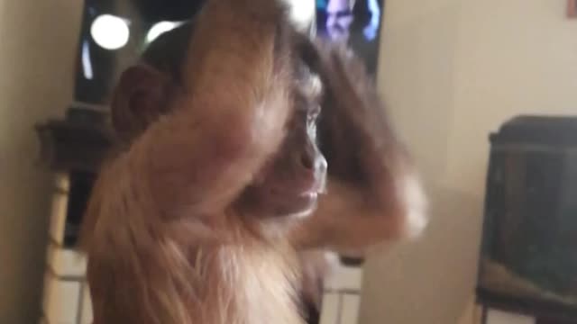 Игры с ложкой