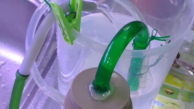 DIY Fish tank Siphon overflow system