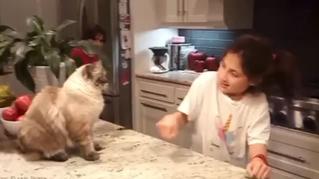 Funniest cat /Dog video on the planet