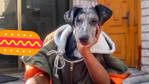 Funny 🐕