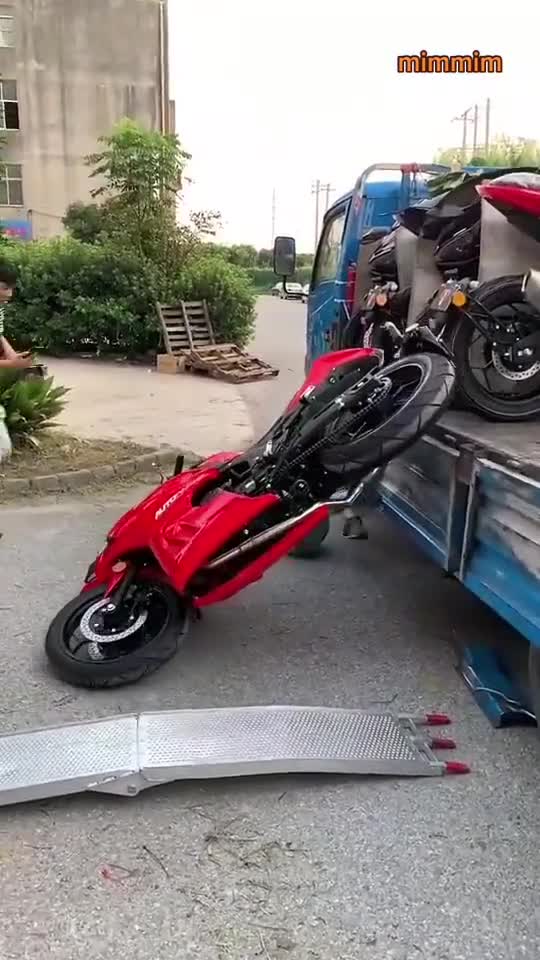 funny|prank|jokes|funny jokes|dad jokes|funny memes|funny video|fun|laughing|funny animal|knock 28