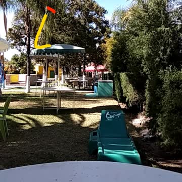 Jesus Truther Episode #31 See Christ's Omnipresent bearded face in Trees