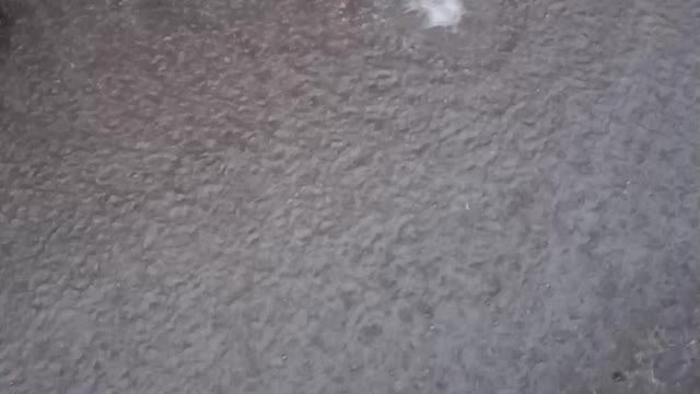 It's all about raining in summer