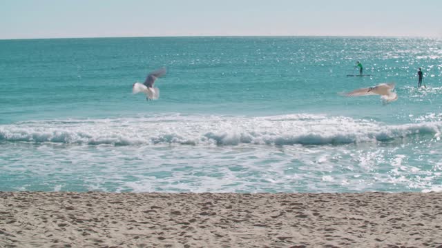 Beautiful Ocean Waves