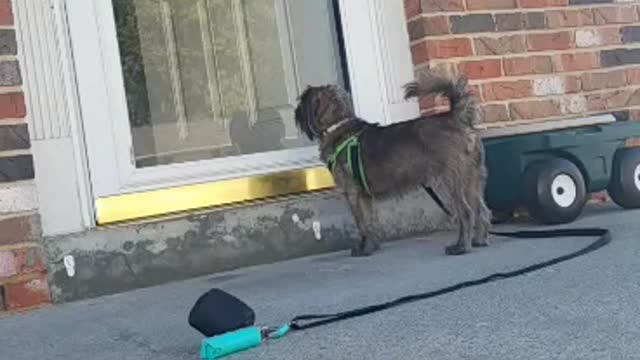 My friends are home!