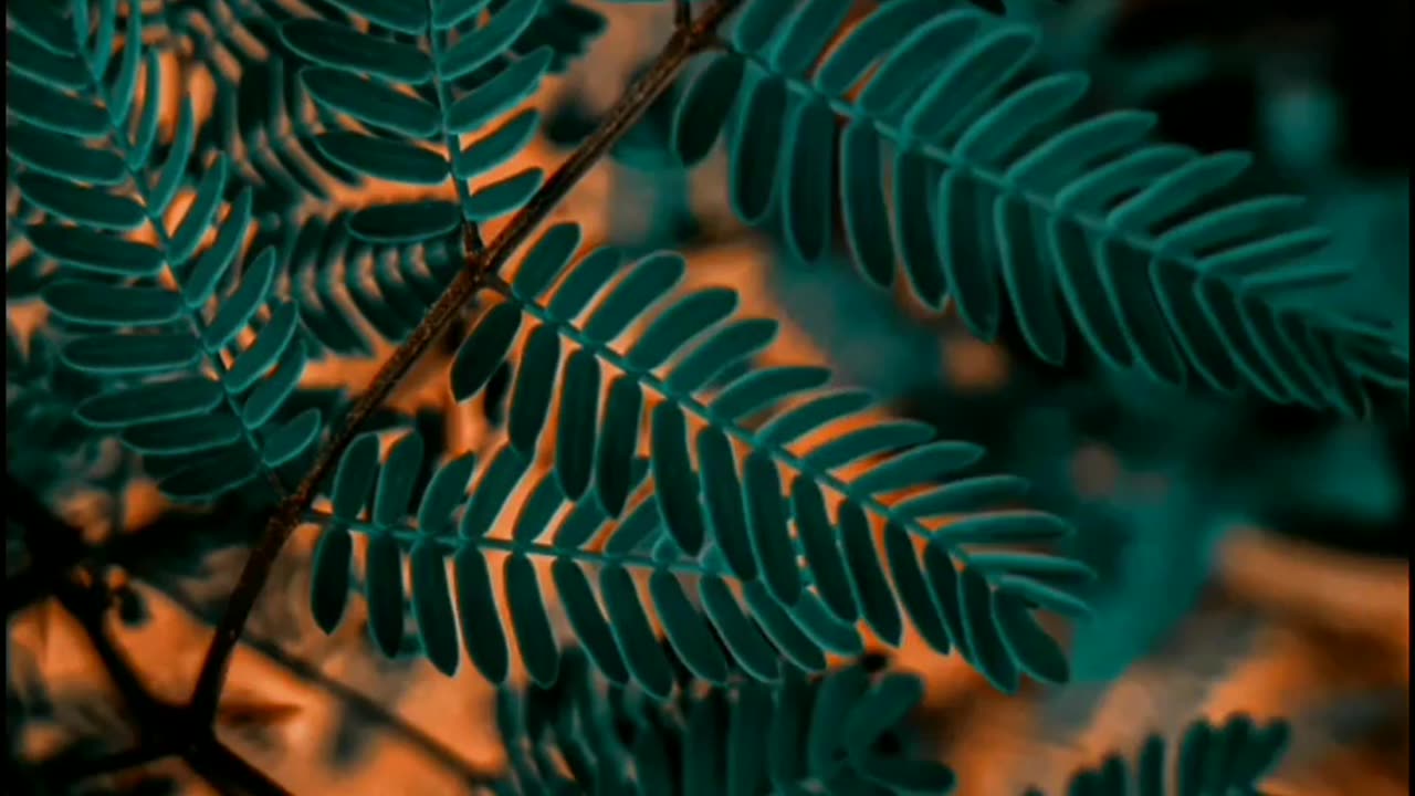 Wildlife in closer view with a natural perspective.