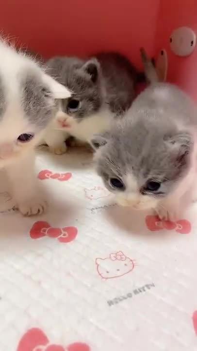 CHINA FUNNY VIDEO 2021 🤣 CHINESE COMEDIAN /CHINESE FUNNY VIDEO-2021