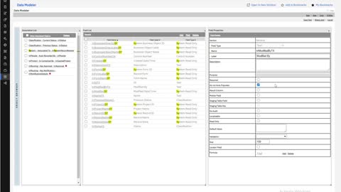 TRIRIGA Development - Business Objects - Part 3 - Fields