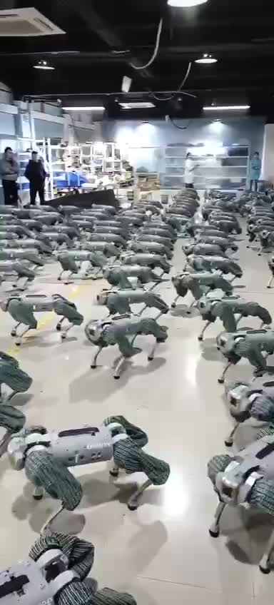 🛑China is preparing companies of robots to patrol and control people.