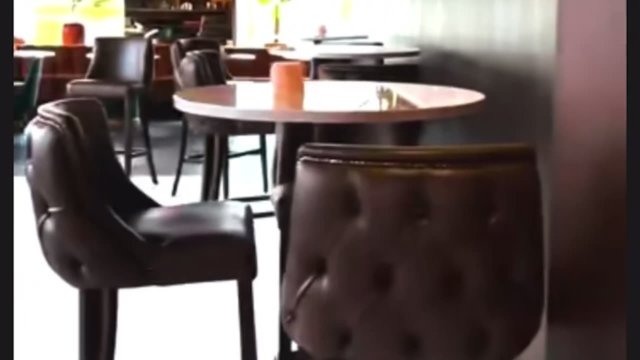 Gravity Wandworrh