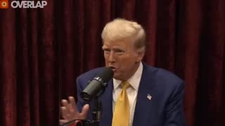 Donald Trump & Joe Rogan Talk UFC