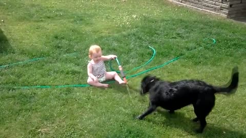 The funniest and cutest dogs and kids