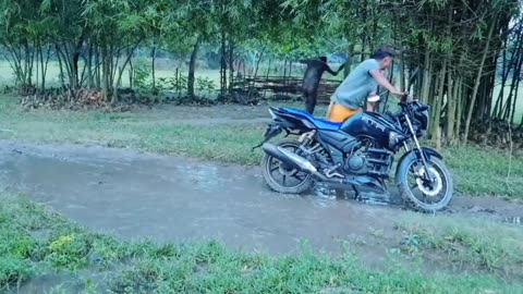 Laughing at a Funny Fall