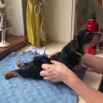 today is the time to relax