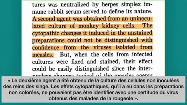 DÉMYSTIFICATION OFFICIELLE DE LA VIROLOGIE PAR LA JEUNE CHERCHEUSE RUSSE EKATERINA SUGAK !!!