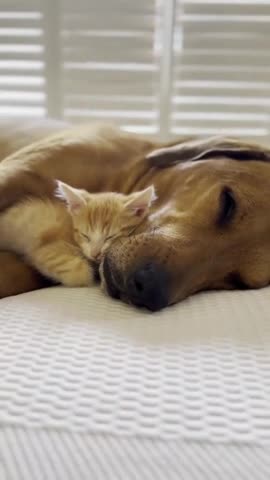 Make new friends. Make good friends. 2024 resolution