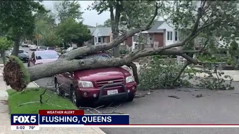 NYC Debby tracker live_ Damaged homes, uprooted trees in Queens