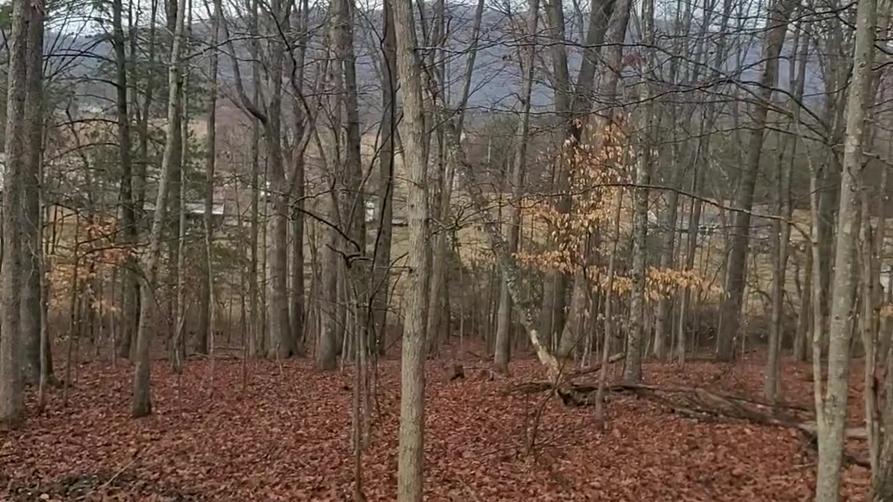 Drive to Jeb Stuart Dr