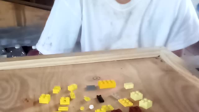 The ultimate Lego guru