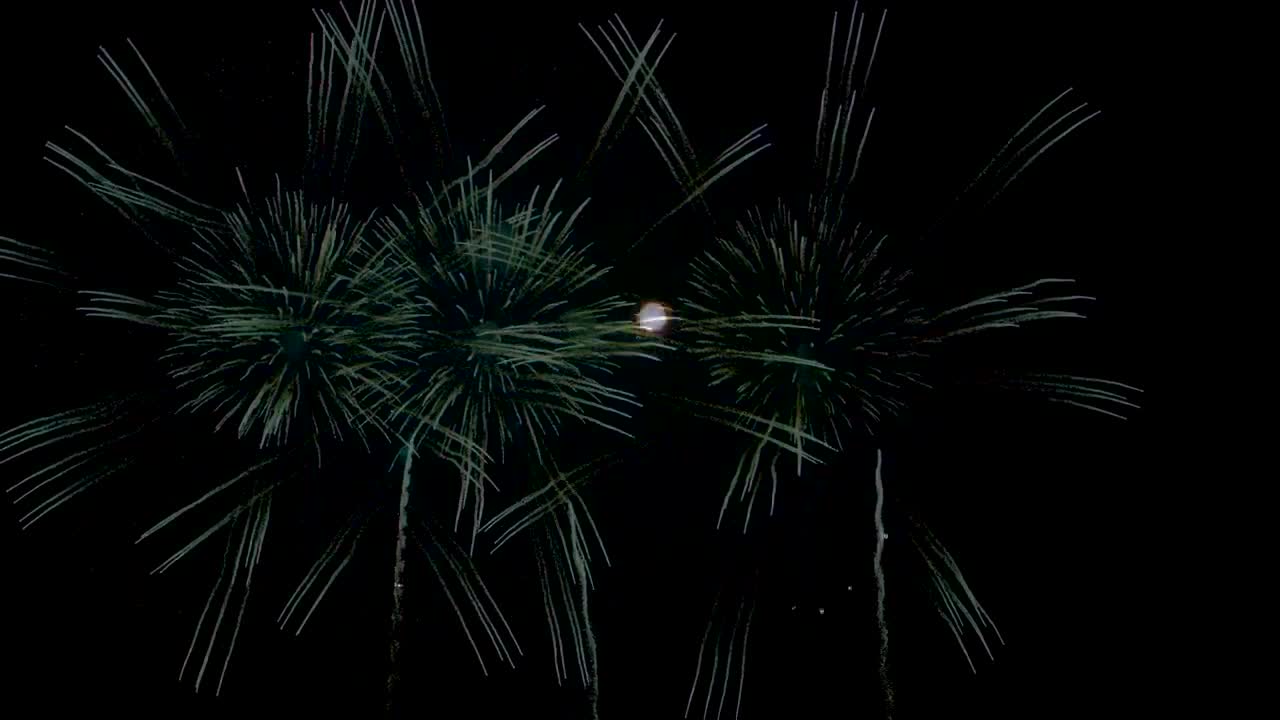 Japan in 8K - Gamagori Fireworks Competition-_愛知県花火競技大会in蒲郡