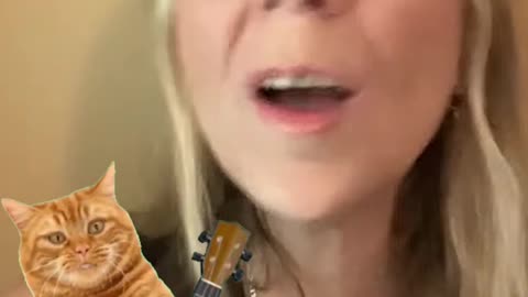 Cat Lady Duet