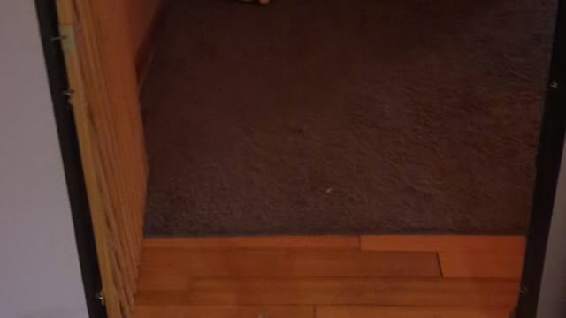 Marzanna And Loki Having Fun