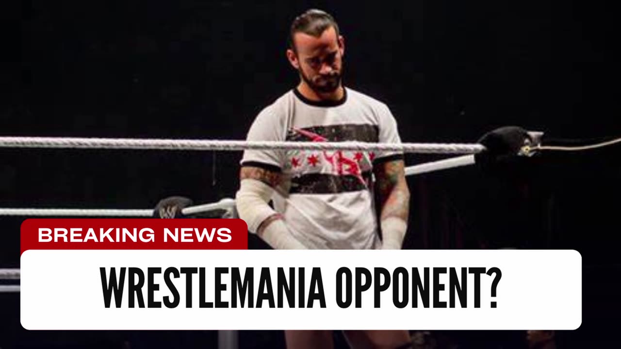 WWE Plans On Having CM Punk Face This Wrestler At WrestleMania 41 (Reportedly)