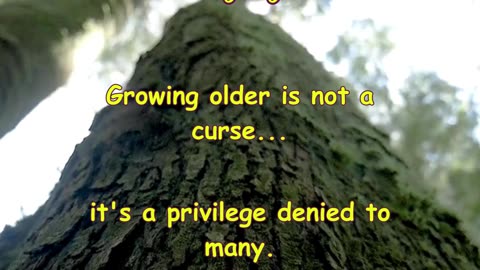 Aging