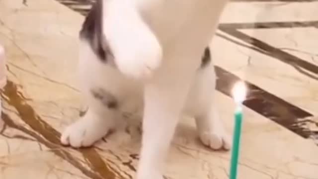 Fire is always Hot!