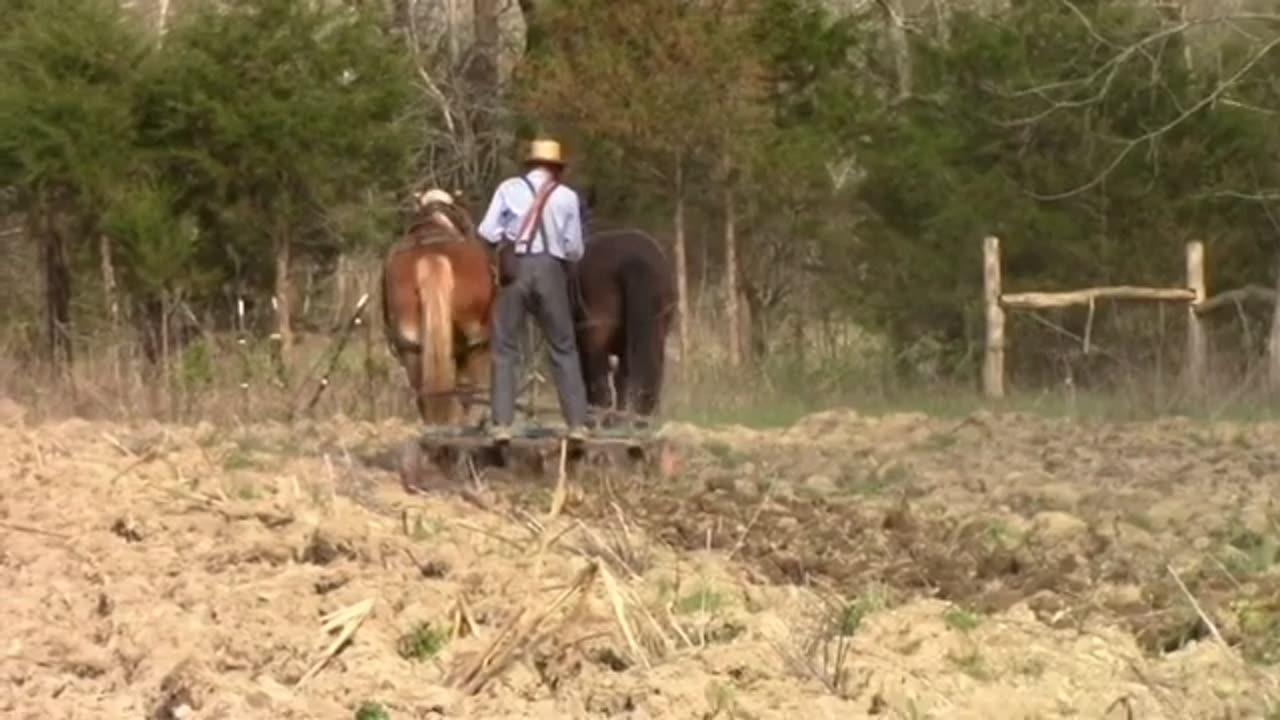 Horse Drawn Disking the Kentucky Land with Titus Morris