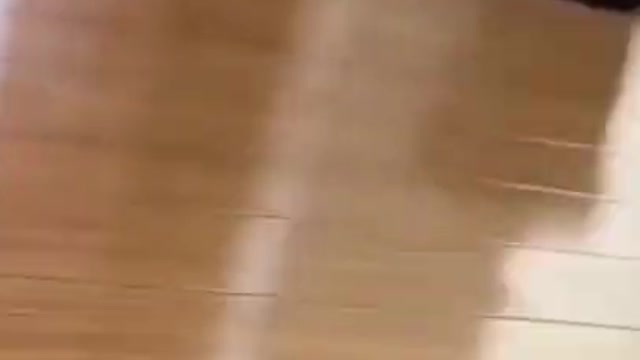 _ Best #funny Cute Cats #shorts Videoš¤£_ #trending #animals #reels