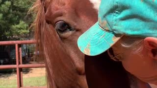 Owner and colt share special moment