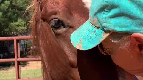 Owner and colt share special moment