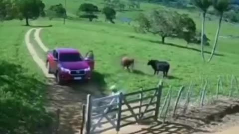 Possessed Truck