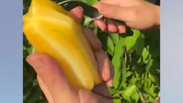 FARM FRESH NINJA FRUIT CUTTING #4