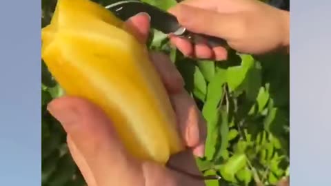 FARM FRESH NINJA FRUIT CUTTING #4