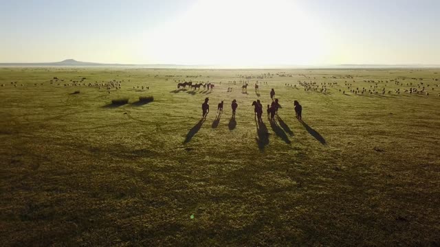 The vast grasslands, the galloping wild horses, are refreshing