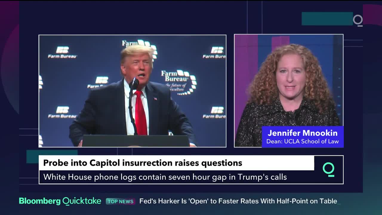 Probe into Capital Insurrection Raises Questions