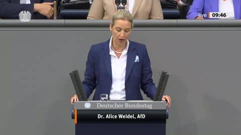 Dr. Alice Weidel Rede vom 11.09.2024 – Bundeskanzler und Bundeskanzleramt