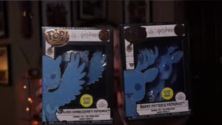 Funko Made A Hilarious Mistake! #harrypotter #funko #funkopop #funkopoppin #patronus