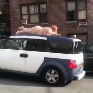 WHAT THE F*CK IS THAT!