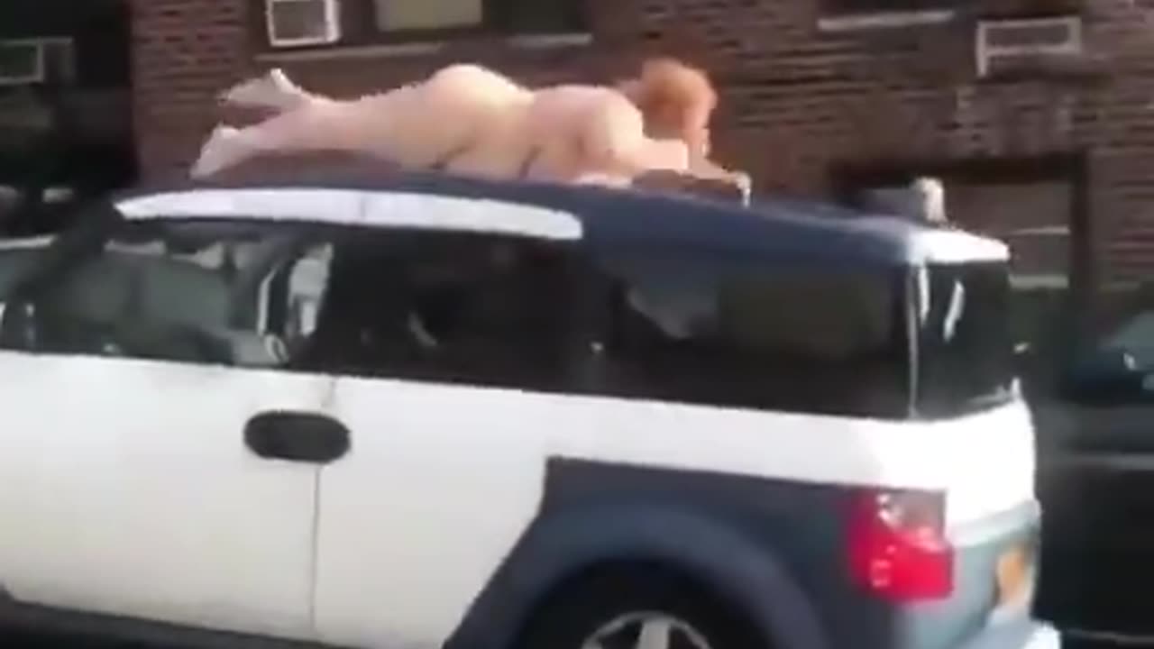 WHAT THE F*CK IS THAT!