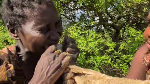 Raw meat is one of favorit meal in tribe see how hanza enjoys their food 🤤😧